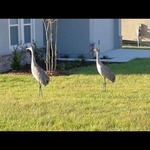 Meet your Posher, Staci-lee